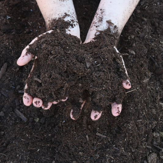 The difference between Dirt and Soil.