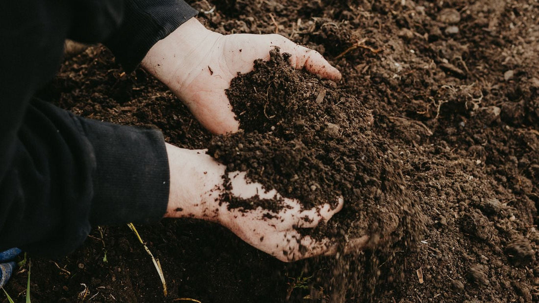 The Doug Way: Spring Soil Prep That Actually Works