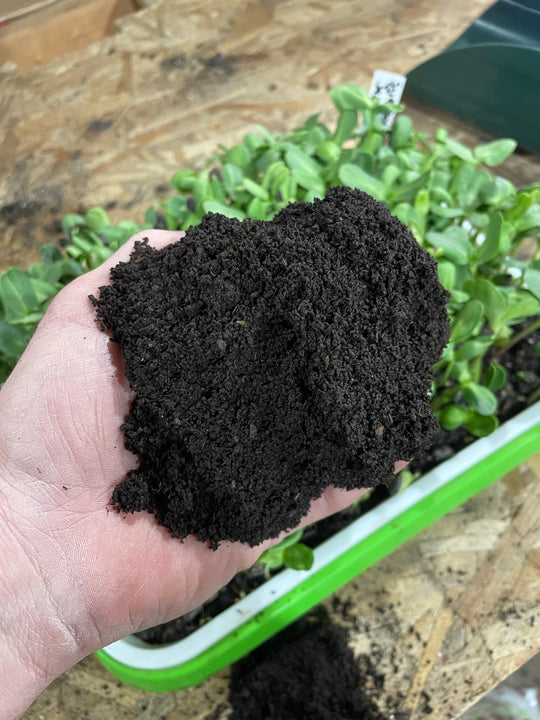 Worm Castings. A garden soil amendment that aids in making healthy soil.  Worm Castings are present in all of Doug Gardens Soil mixes and soil amendments
